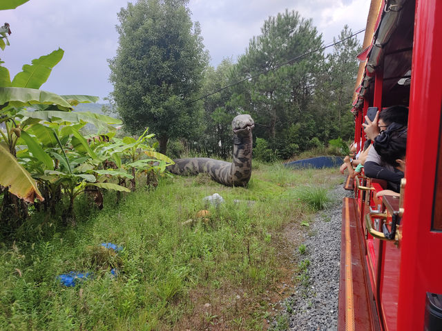 這裡是湖州安吉中南牧場小火車 親子友好