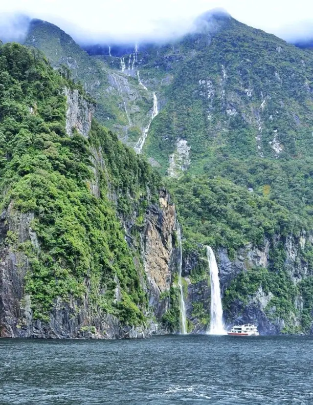 A masterpiece of nature! Feel the magnificent landscape of Milford Sound up close