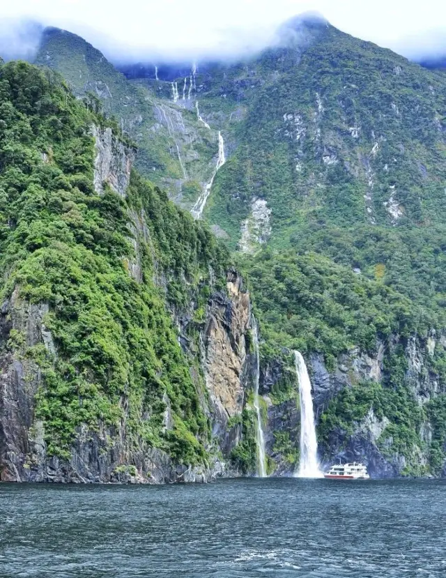 ผลงานของธรรมชาติที่ยอดเยี่ยม! สัมผัสความงดงามของภูเขาและน้ำที่ Milford Sound อย่างใกล้ชิด