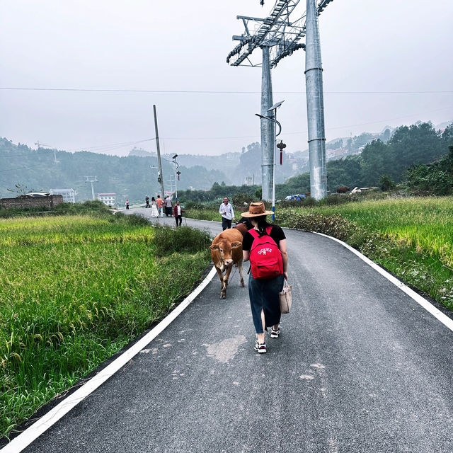 國慶推薦湖南小桂林-婁底漣源湄江地質公園