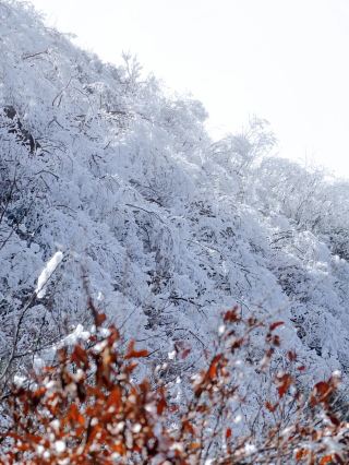Hunan Yunyang Mountain| Check in Yunyang "Ten Thousand Steps Staircase"