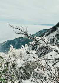 不用出廣東也可以看的絕美霧凇雪景—金子山，不來你一定會後悔的