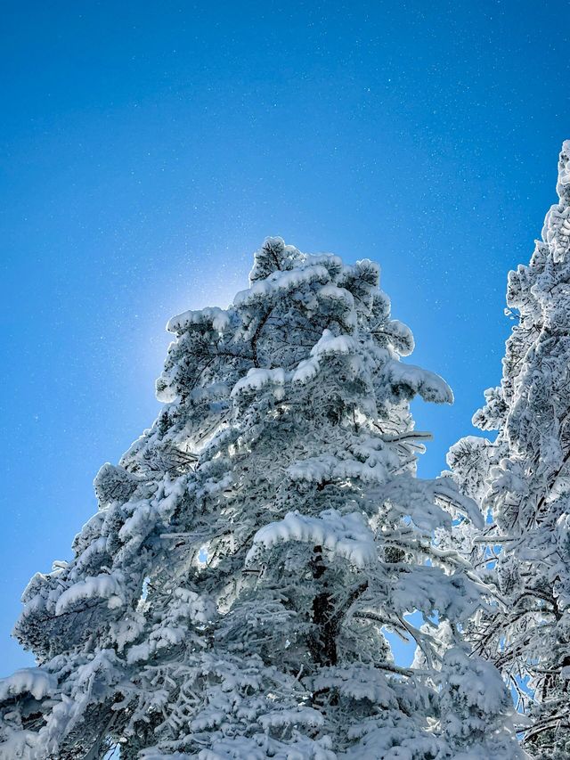 冬天的西嶺雪山，去一次後悔一次