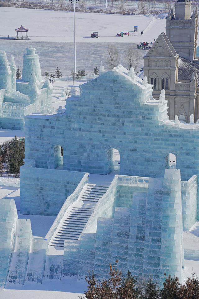 四川小熊猫勇闯冰雪大世界