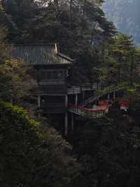 羊獅慕||見山，看山！