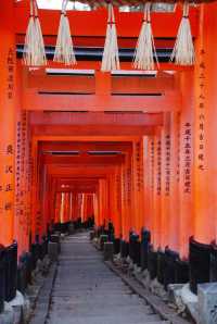 日本京都｜寺廟與神社並存的人文大城