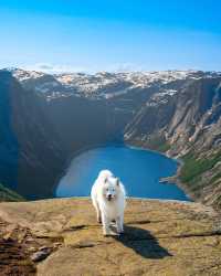 😁✨ Unleash Your Inner Explorer in Norway! Discover the Best Hiking Trails and Fjords 🏔️⛰️