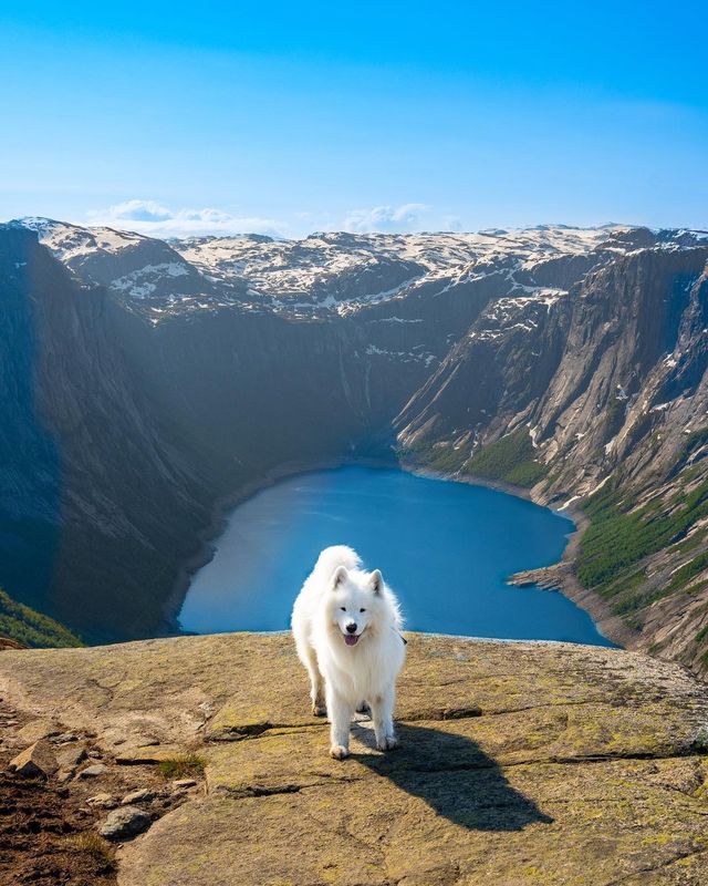 😁✨ Unleash Your Inner Explorer in Norway! Discover the Best Hiking Trails and Fjords 🏔️⛰️