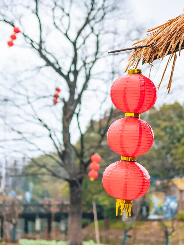 The Lantern Festival, come to the agricultural park to celebrate a different kind of reunion moment