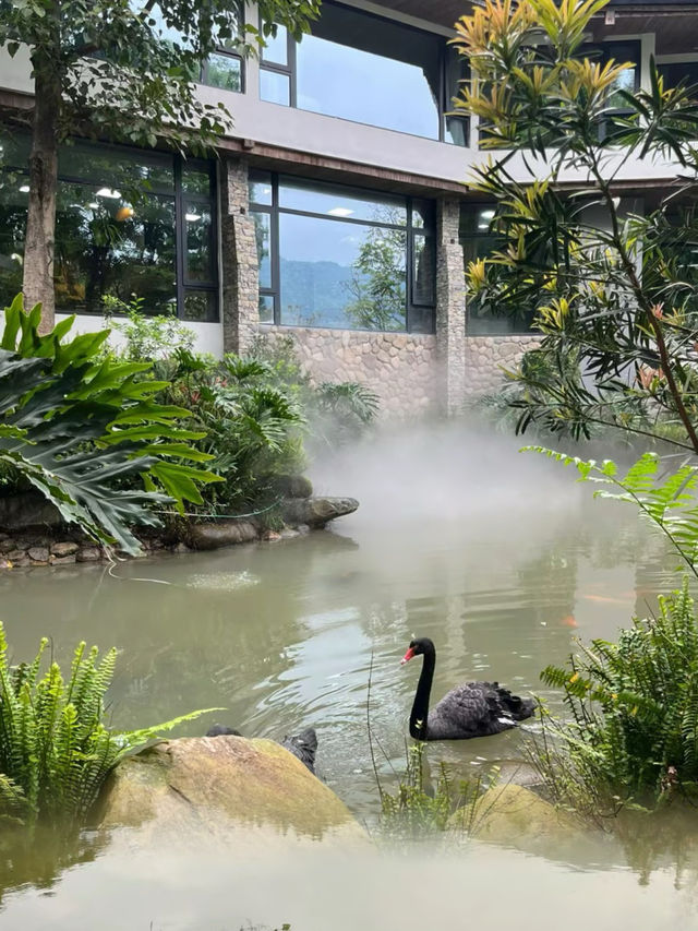 藏在雲水謠裡的奢野仙境酒店