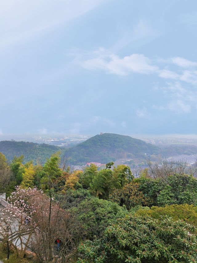 週末來佘山吧 春日正好 天文博物館還很有趣呢