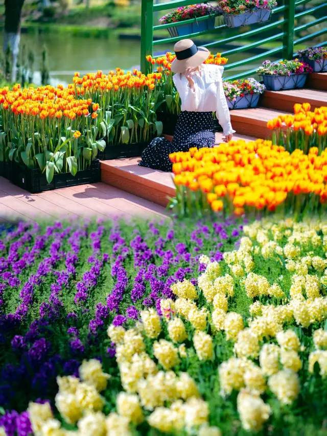 Monet's Garden comes to life in reality! Snapped 1000 photos in Shanghai!