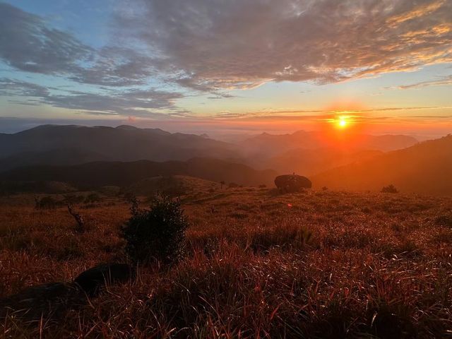 石谷解｜世人皆赴海，唯我獨向山看日落