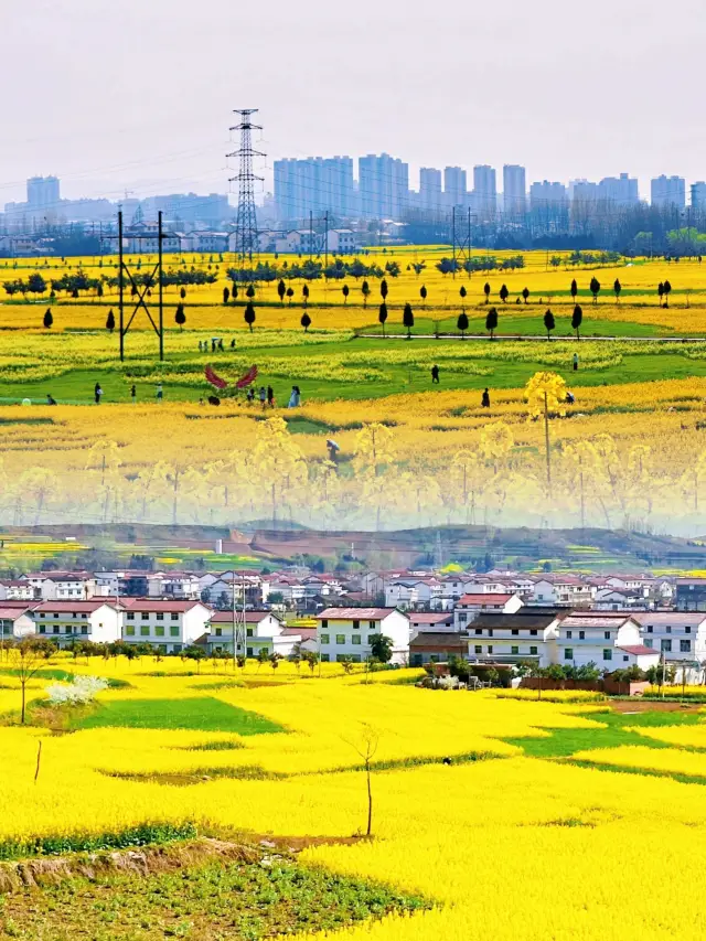 Xi'an | Stop planning, just go and see the rapeseed flowers in Hanzhong