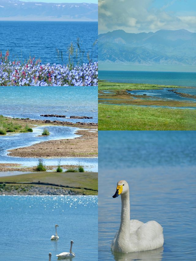 大美新疆賽里木湖 所有的文案都抵不過一眼萬藍！