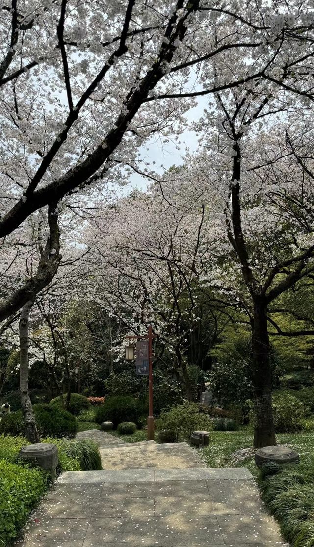 推開窗，遇見繁花似錦的春日畫卷