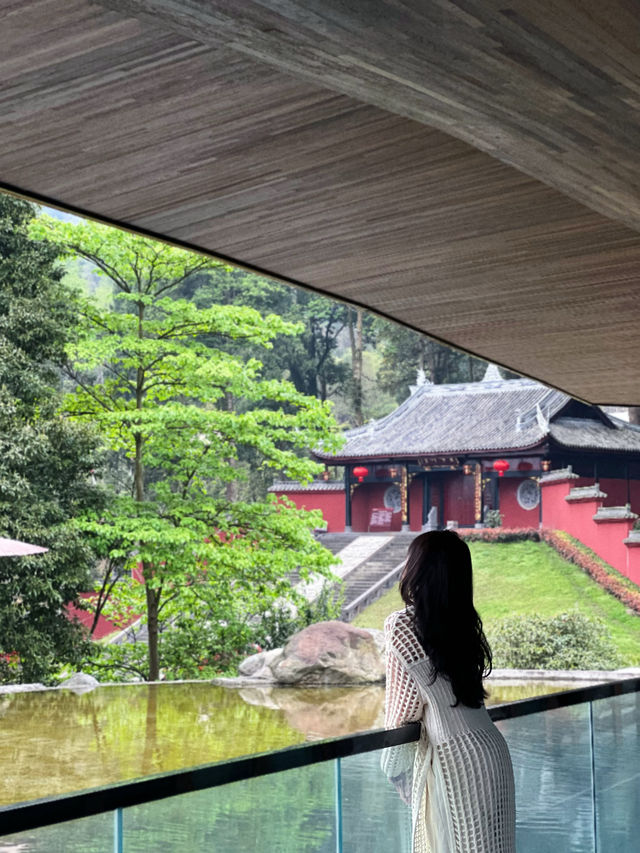 成都周邊，遊千年禪寺，賞萬畝茶園