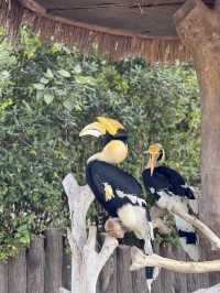 親人們，上海野生動物園有多適合遛娃還要多說嗎？
