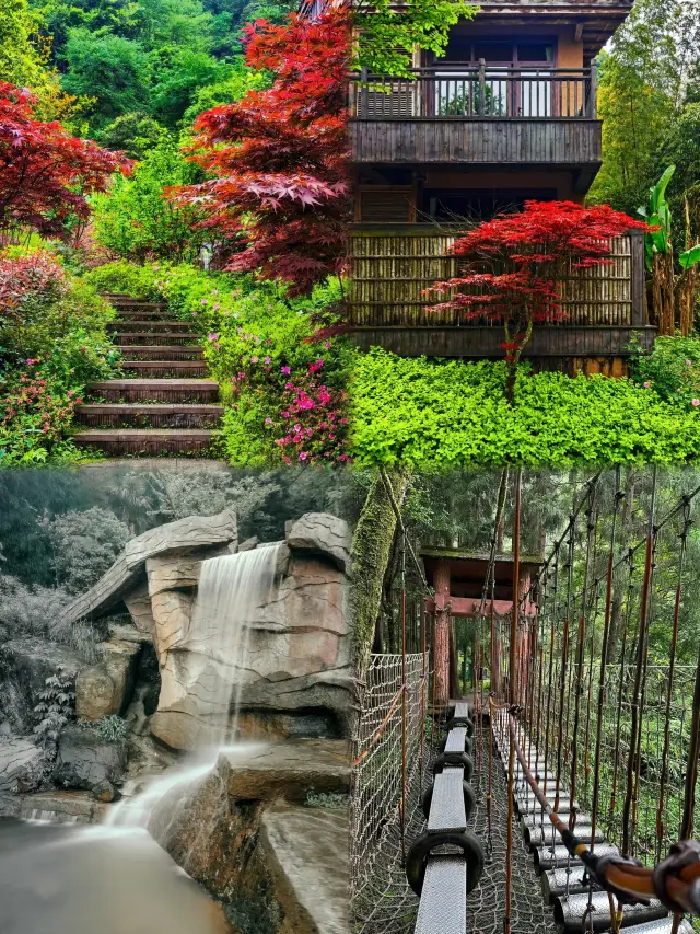 秘境探幽重慶四面山生態之旅一日遊