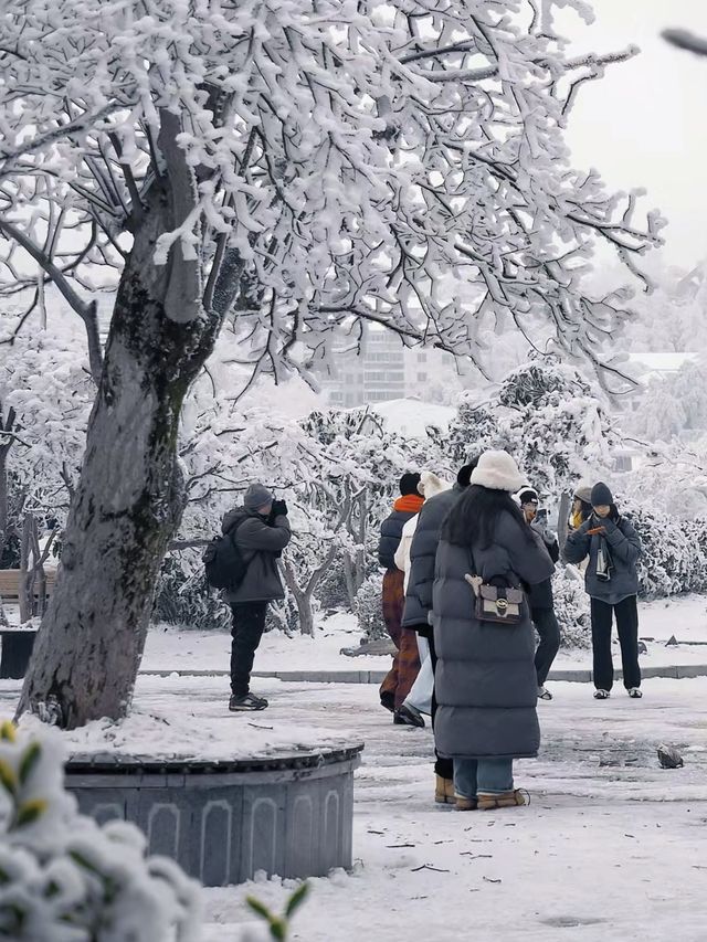 如果你想看這樣的廬山雪景，就聽我10句勸！