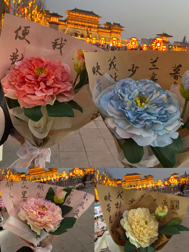洛陽牡丹花節賞花指南|建議收藏