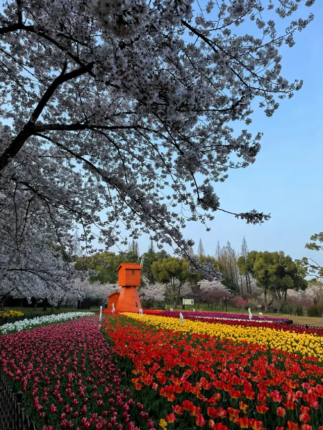 It's really Suzhou, and the photos are real too