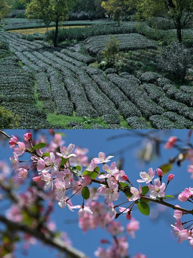 武夷山詳細攻略輕鬆暢遊山水間！