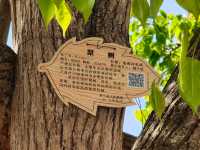 蘭州什川古梨園，週末休閒好去處