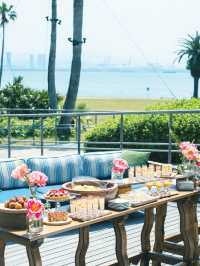 🌇 Fukuoka's Finest: A Blogger's Guide to Ultimate Hotel Stays 🏨✨