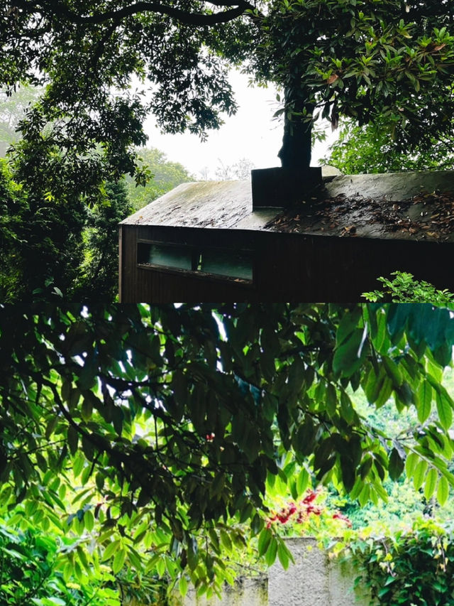 成都周邊隱居山林的峨眉童話湯池小屋坐落在半山腰的民宿