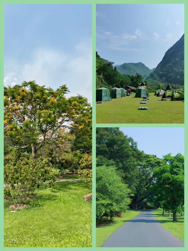 西雙版納必去打卡地，怎能少了Ta