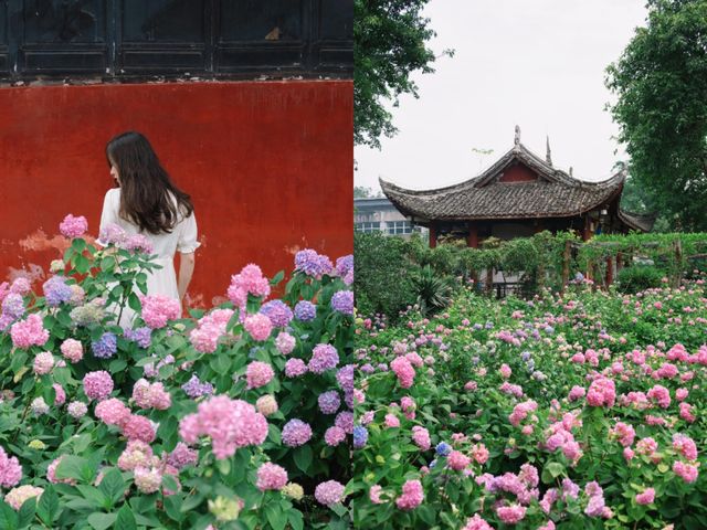 開滿無盡夏的千年古寺