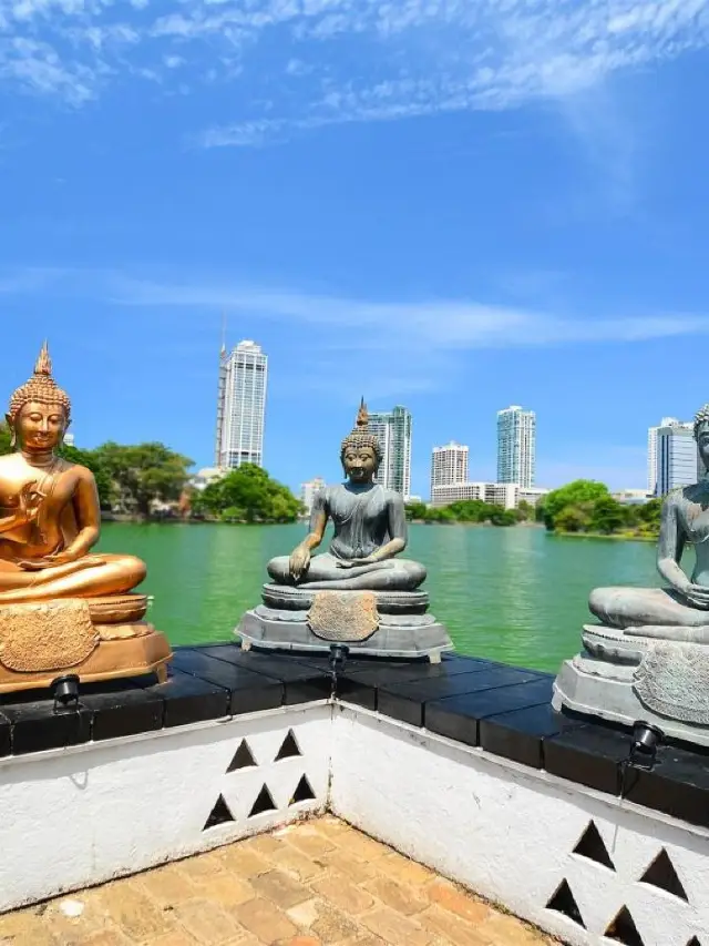 🌟 Colombo's Chic Retreat: A Peek into Paradise Road Tintagel 🌟