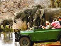 南非  克魯格國家公園  Kruger National Park
