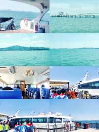 研學旅行——山海海洋之星