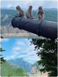 瞿塘夔門雄關險峻，探秘白帝城千年風韻
