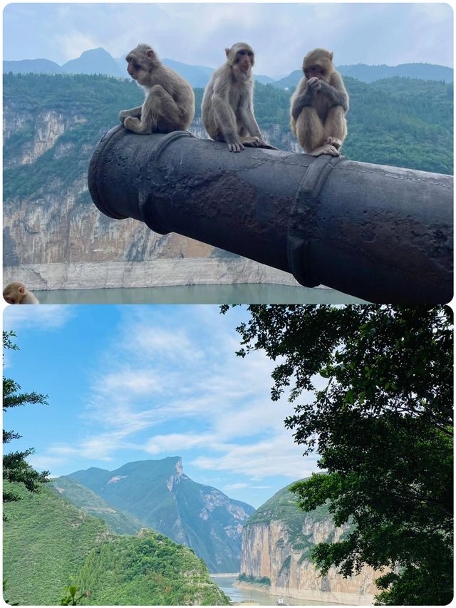 瞿塘夔門雄關險峻，探秘白帝城千年風韻