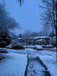 🌨️❄️ Vancouver: A Snowy Paradise Like No Other! 🌨️❄️