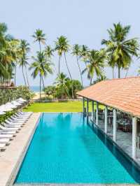 🌴🛏️ Bentota's Best: Cozy Stays & Ocean Sprays 🌊