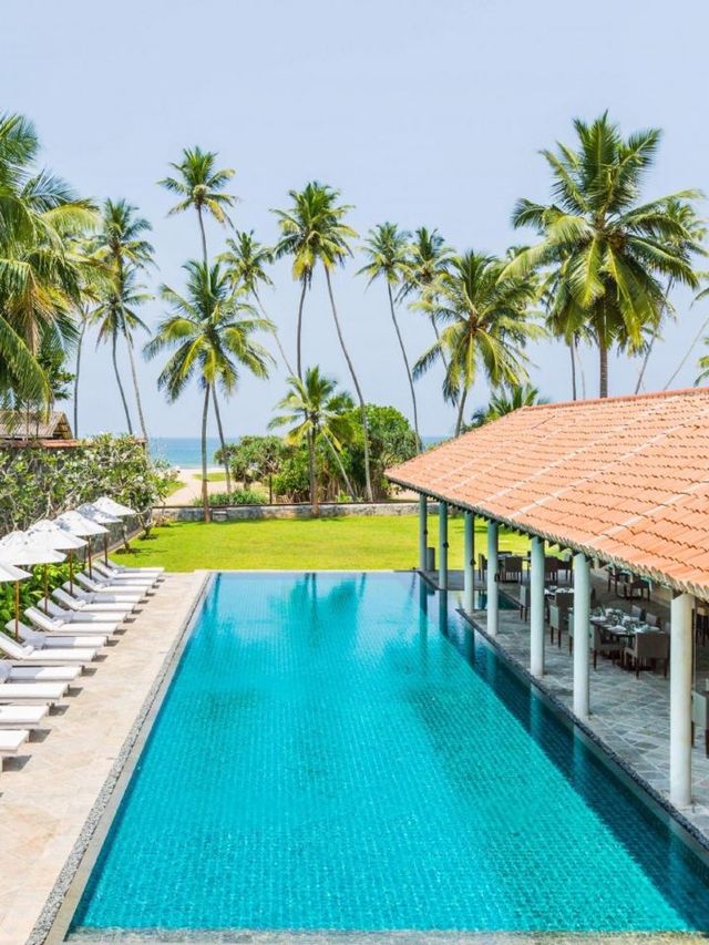 🌴🛏️ Bentota's Best: Cozy Stays & Ocean Sprays 🌊