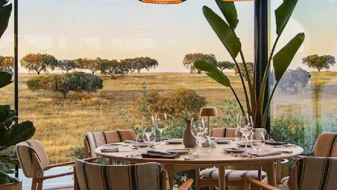🌟✈️ Albernoa's Hidden Gem: Herdade da Malhadinha Nova 🏨🍇 — traveler post in Beja