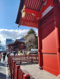 東京景點｜淺草神社