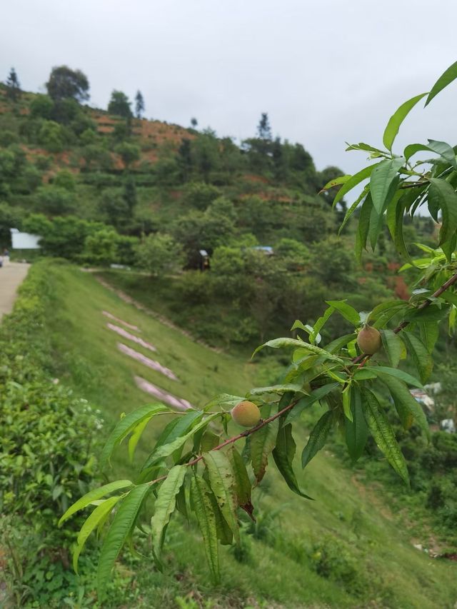 遠方不遠只要心之所向第四十六篇～～梅州三溪恩仔岽