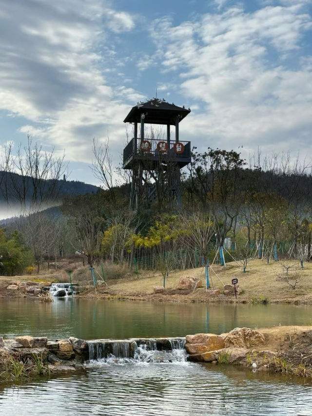 合肥周邊遊——冶父山國家森林公園