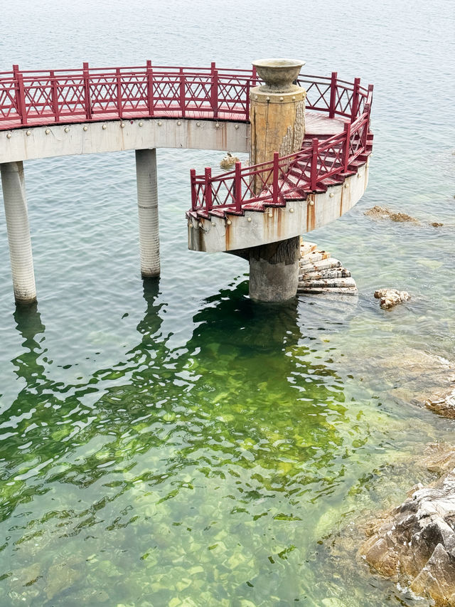 沒在國外，就在煙台養馬島，傳說中的果凍海～