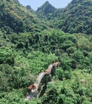 【Guangxi Longhu Mountain】A Beginner's Guide to Playing with Monkeys!
