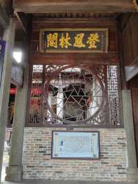 千年時姓古村宗祠，八百歲樟樹兄弟