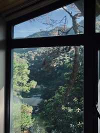 被低估的清遠仙山無痛住進風景裡