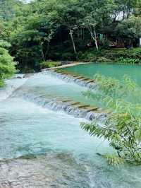 茂蘭自然保護區：布依、水、瑤族文化與自然的和諧樂章！