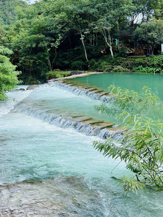 茂蘭自然保護區：布依、水、瑤族文化與自然的和諧樂章！